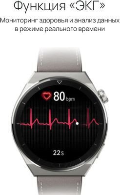 Смарт-часы Huawei Watch GT 3 Pro Odin-B19V,  46.6мм,  1.43",  серый/серый [55028474]