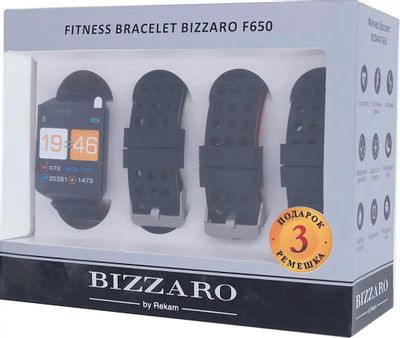Смарт-часы Rekam Bizzaro F650,  1.3",  черный/черный [2202000011]