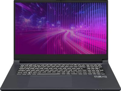 Ноутбук игровой OSIO CyberLine C170i-003 17.3", 2024, IPS, Intel Core i7 12650H 2.3ГГц, 10-ядерный, 16ГБ DDR4, 512ГБ SSD,  NVIDIA GeForce  RTX 4060 для ноутбуков - 8 ГБ, без операционной системы, темно-серый
