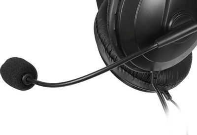Гарнитура Oklick HS-M137V,  для компьютера, мониторные,  проводные, черный  [614046]