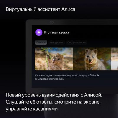 Умная колонка ЯНДЕКС Станция Дуо Макс Zigbee, 60Вт, с Алисой на YaGPT, черный [yndx-00055blk]