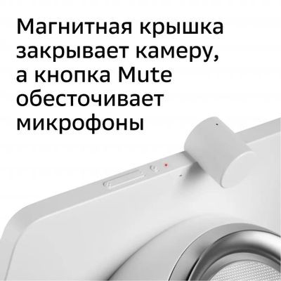 Смарт-дисплей SBER SberPortal, 30Вт, с Салют, белый [sbdv-00010w]
