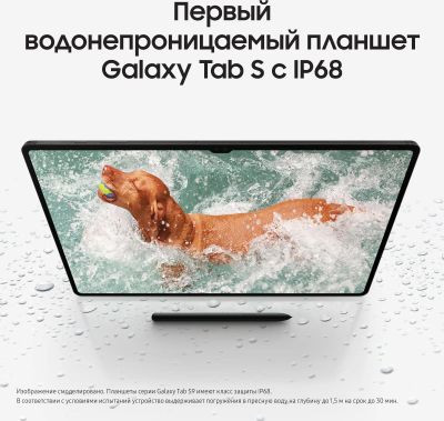 11" Планшет Samsung Galaxy Tab S9 SM-X716B 8/128 GB 8 Gen 2 5G, 2560 x 1600, Android 13, со стилусом, графит [sm-x716bzaacau]