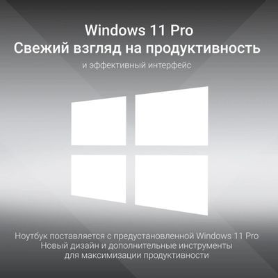 Ноутбук Digma EVE C4801 14", IPS, Intel N100 0.8ГГц, 4-ядерный, 8ГБ LPDDR5, 256ГБ SSD,  Intel UHD Graphics  интегрированное, Windows 11 Professional, серебристый [dn14n1-8cxw01]