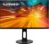 27" Монитор SunWind SUN-M27BA104, 2560x1440, IPS, 75Гц, 2хHDMI, 1хDP, черный 27" Монитор SunWind SUN-M27BA104, 2560x1440, IPS, 75Гц, 2хHDMI, 1хDP, черный