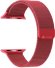 Ремешок LYAMBDA DS-APM02-44-GS для Apple Watch Series 3/4/5/6/SE/7, красный