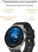 Смарт-часы Huawei Watch GT 3 Pro Odin-B19V,  46.6мм,  1.43",  черный/серый [55028473]