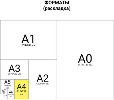 Тетрадь на кольцах BRAUBERG клетка,  120л. [404510]