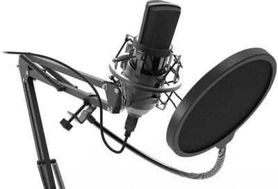 Микрофон Ritmix RDM-169,  черный [80000749]