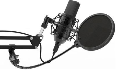 Микрофон Ritmix RDM-169,  черный [80000749]