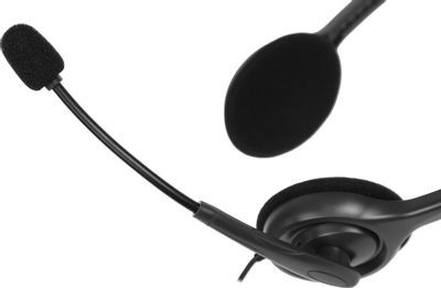 Гарнитура Logitech H110,  для компьютера, накладные,  проводные, темно-серый  [981-000472]