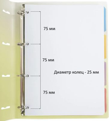 Тетрадь на кольцах BRAUBERG клетка,  120л. [404624]