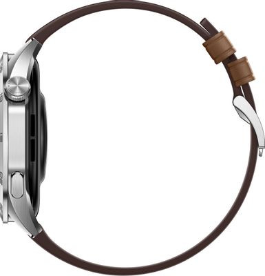 Смарт-часы Huawei Watch GT 4 Phoinix-B19L,  46мм,  1.43",  коричневый/серебристый [55020bgx]
