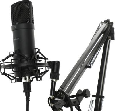 Микрофон Ritmix RDM-180,  черный [80000153]