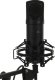 Микрофон Ritmix RDM-180,  черный [80000153]