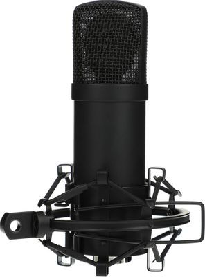 Микрофон Ritmix RDM-180,  черный [80000153]