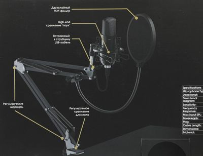 Микрофон Ritmix RDM-180,  черный [80000153]