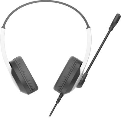 Гарнитура A4TECH Fstyler FH100U,  для компьютера, накладные,  проводные, белый  / черный [fh100u (panda)]