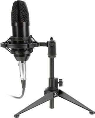 Микрофон Ritmix RDM-160,  черный [80000132]