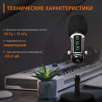 Микрофон SunWind SW-SM500G,  черный [1427255]