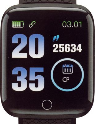 Смарт-часы Digma Smartline H2,  1.3",  черный/черный [h2b]