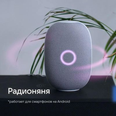 Умная колонка VK Капсула 30Вт, с Марусей, белый [mrc01wh]