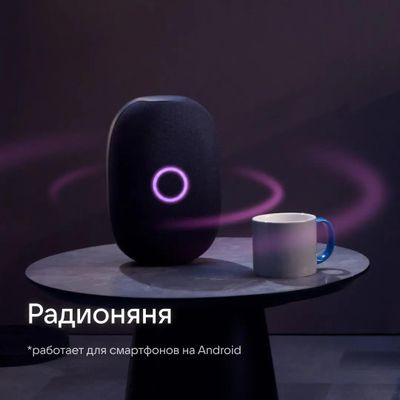 Умная колонка VK Капсула 30Вт, с Марусей, черный [mrc01bl]