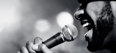 Микрофон SHURE SM58SE,  черный
