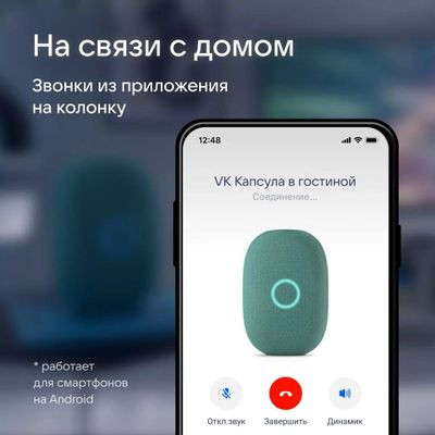 Умная колонка VK Капсула 30Вт, с Марусей, зеленый [mrc01gr]