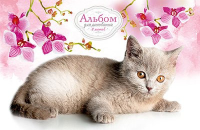 Альбом для рисования, 8 листов, обложка офсет, 2 дизайна